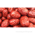 Sweet and delicious red dates best